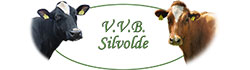 VVB Silvolde
