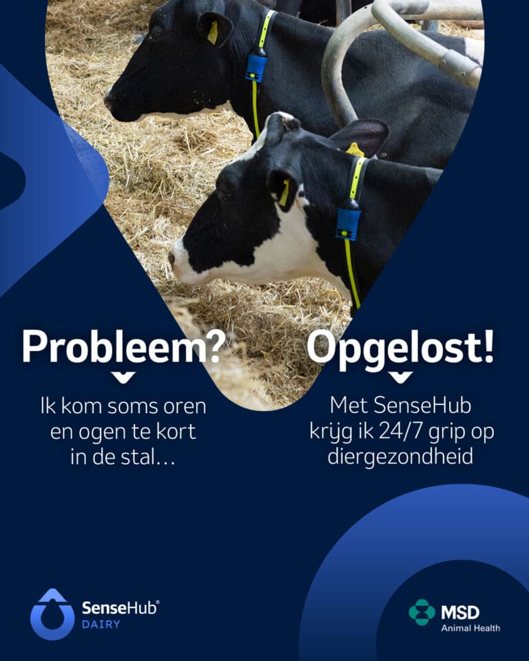 61603-MSD Sensehub Dairy social_1 (2)
