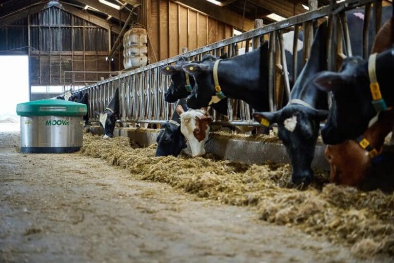 Foto 08-06-2023 14 53 37 (1)