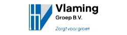 Vlaming