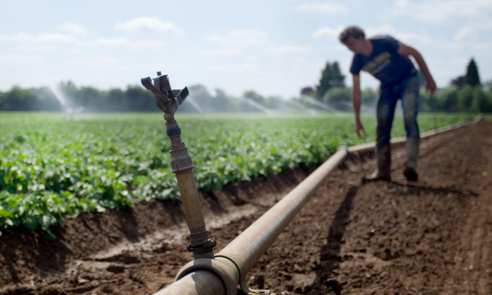 20150610RM-Sproeiers-op-aardappelen-Eefde-01