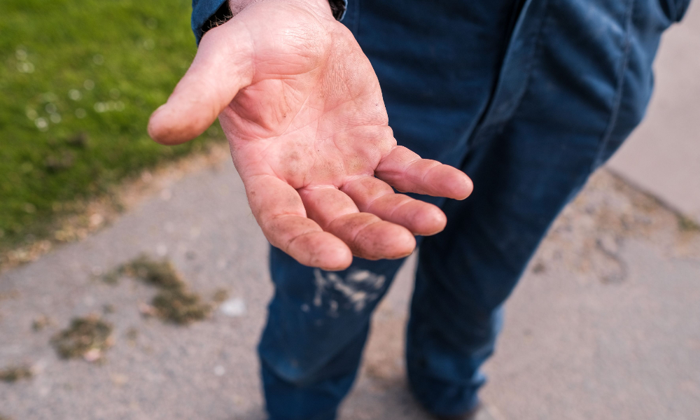 zob_foto_open_hand